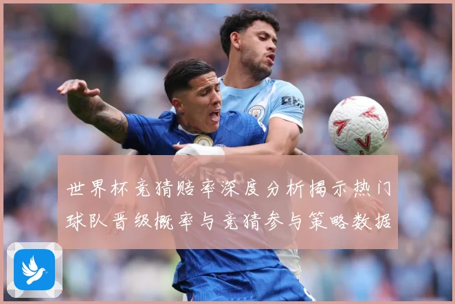 世界杯竞猜赔率深度分析揭示热门球队晋级概率与竞猜参与策略数据研判-深度解析